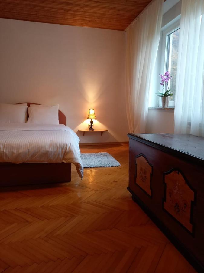 Riverside Villa Avo - Apartment Martin Spodnja Idrija Εξωτερικό φωτογραφία