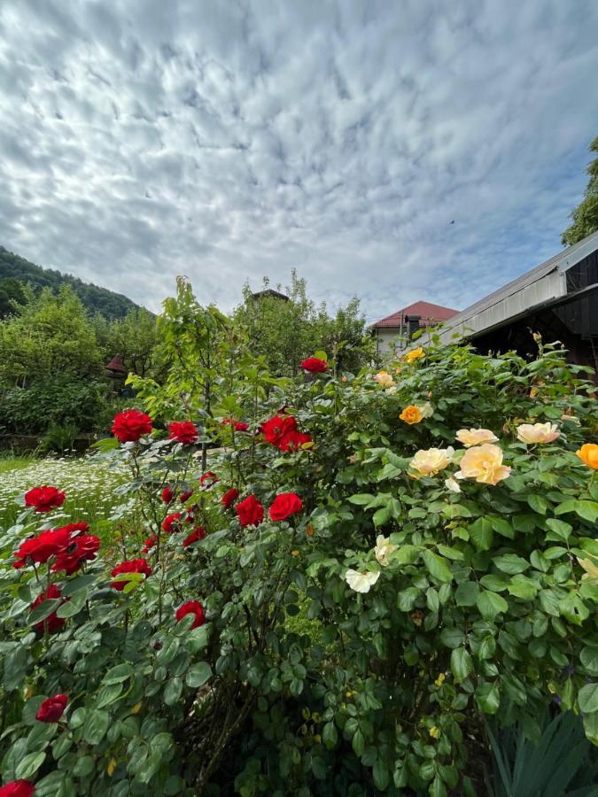 Riverside Villa Avo - Apartment Martin Spodnja Idrija Εξωτερικό φωτογραφία